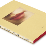 Medium Pictorial Journal - Desirée Galliot Lips