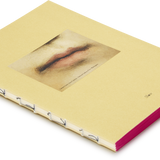 Medium Pictorial Journal - Lorenzo Lotto Lips