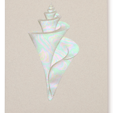 Engraved Conch Shell Greeting Card