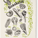 Letterpress Nature Seashells Greeting Card