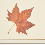 Engraved Maple Leaf Greeting Card