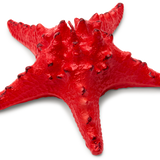 Starfish Candle