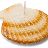 Clam Shell Candle