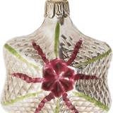 Small Star Glass Ornament