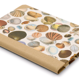 Hardback "Composition Ledger" Notebook, Seashells